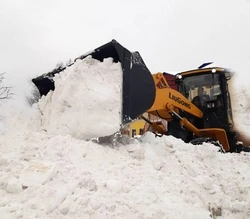 Благодарим Виктора Тотьмянина –  за трудолюбие и ответственность