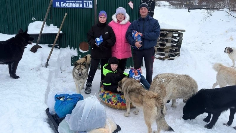 Очередная помощь приюту «Право животных на жизнь»