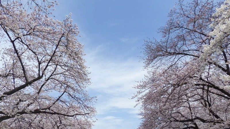 Народные приметы 14 апреля 2024 года: что строго нельзя делать в этот день 