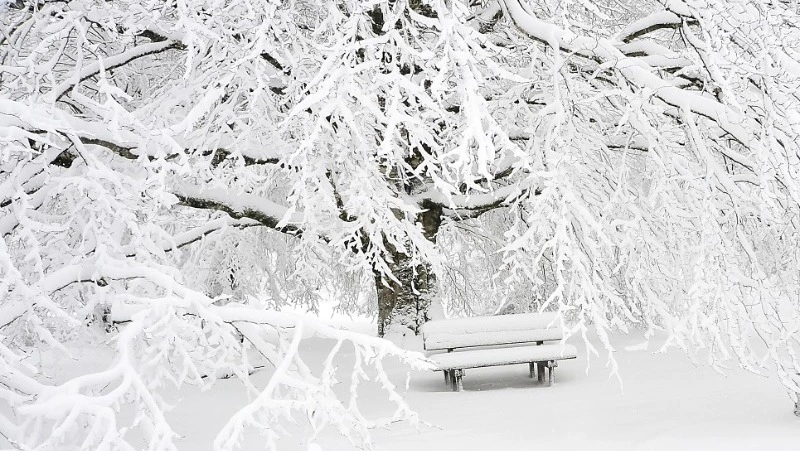 Церковный праздник 24 января 2024 года: что строго нельзя делать в этот день
