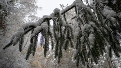 Снег и морозы: прогноз погоды в Сахалинской области на 17 января  