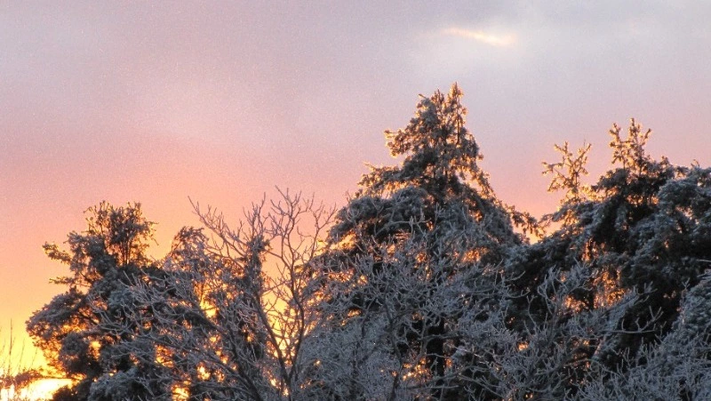 Народные приметы на 29 февраля 2024 года: что строго нельзя делать в этот день 