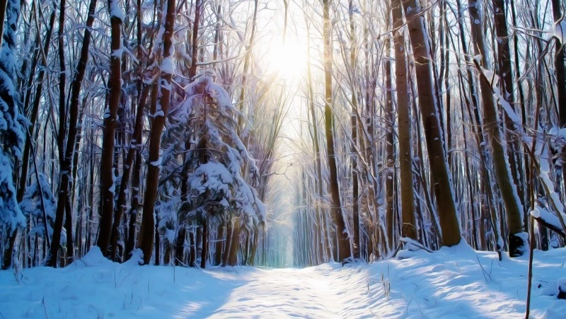 Церковный праздник 7 декабря 2023 года: что строго нельзя делать в этот день