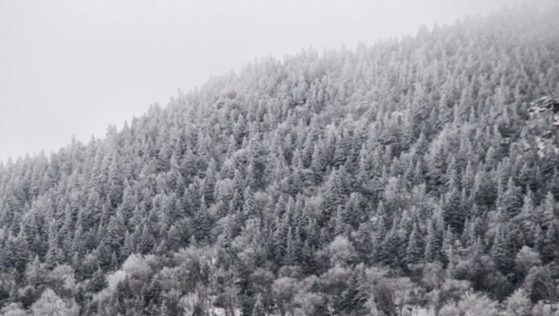 Народные приметы на 30 декабря 2023 года: что строго нельзя делать в этот день