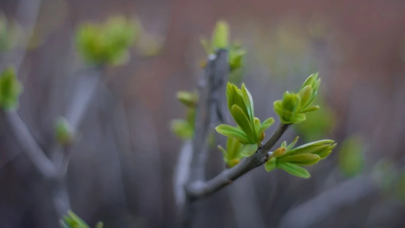 Народные приметы 29 апреля 2024 года: что строго нельзя делать в этот день  