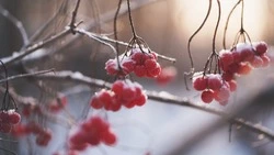 Народные приметы на 7 января 2024 года: что нельзя делать в Рождество Христово