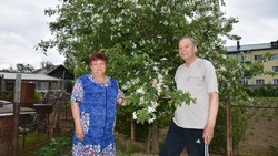 Согласие и лад