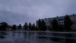 Дожди и порывистый ветер: погода в Сахалинской области на предстоящую неделю