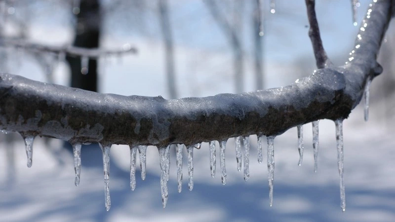 Церковный праздник 13 декабря 2023 года: что строго нельзя делать в этот день
