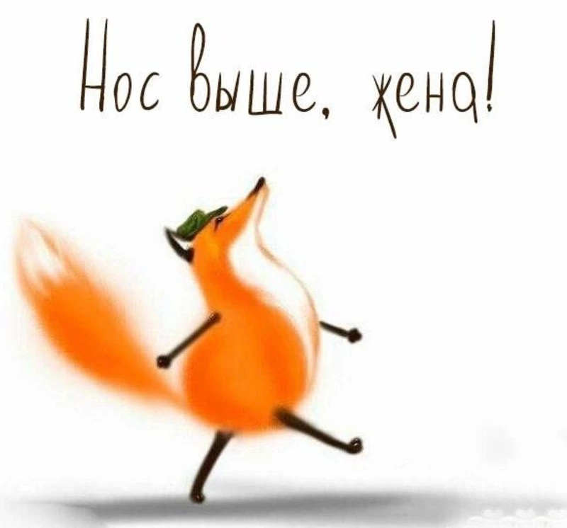 Экспресс-опрос «Жена – это счастье, уют и очаг…»