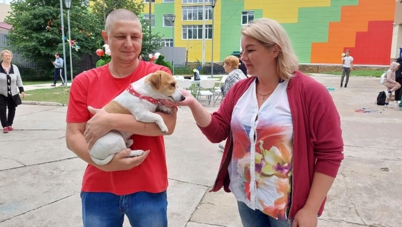 В День беспородной собаки