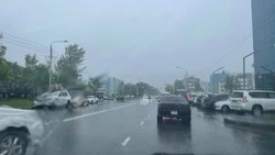 Умеренные дожди накроют Сахалинскую область 20 июня 