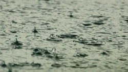 Сильные осадки обрушатся на один из районов Сахалинской области 25 июля 