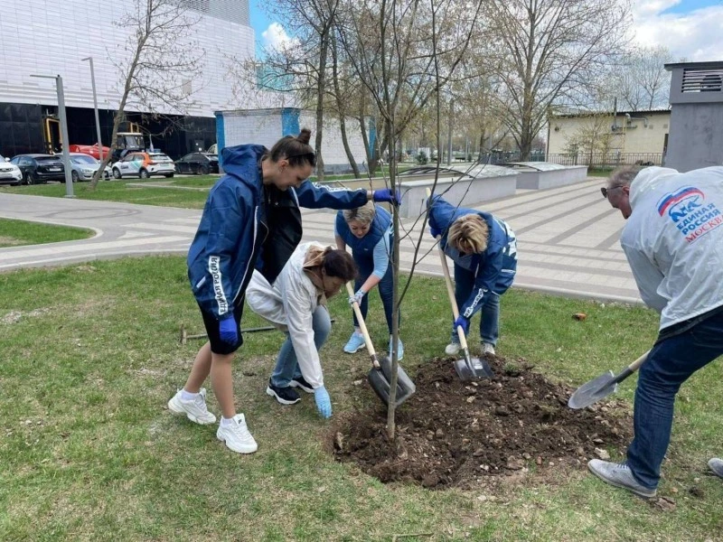 Парки, мемориалы, территории школ: «Единая Россия» проводит 1 мая субботники 