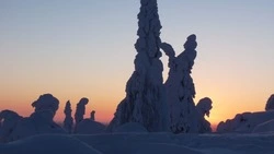 Сильный ветер и снег обрушатся на Сахалин и Курилы 1 февраля    