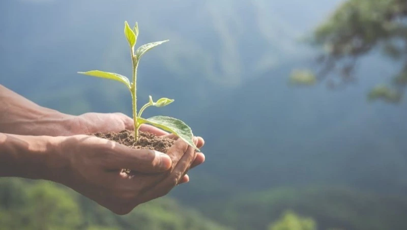  Первый этап газификации в Сахалинской области завершат в 2025 году
