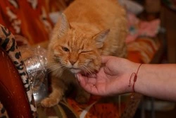 Жителям Невельского района окажут материальную помощь