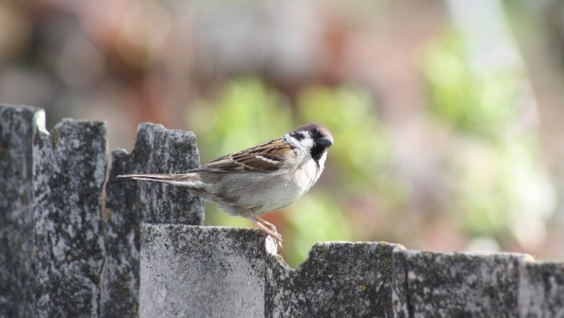 Народные приметы 2 мая 2024 года: что строго нельзя делать в этот день