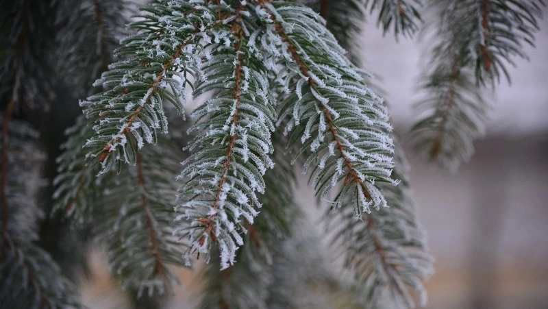 26 февраля: праздники в этот день и памятные события 