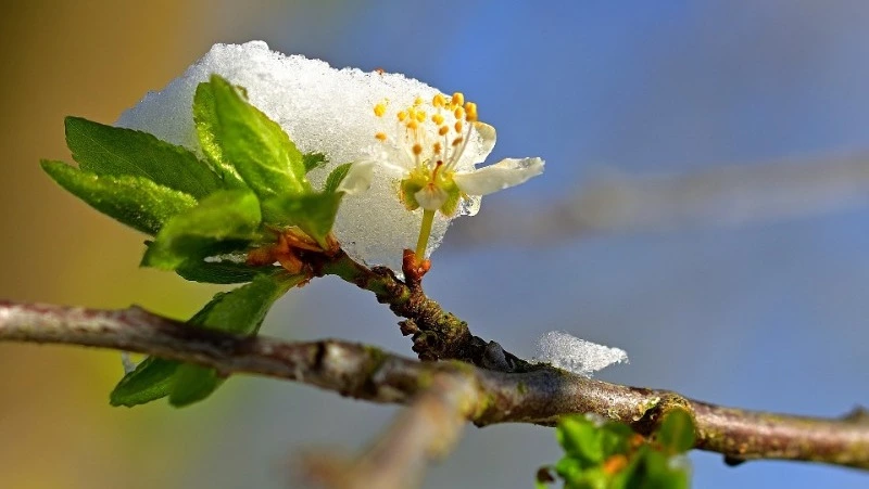 Народные приметы на 5 апреля 2024 года: что строго нельзя делать в этот день 