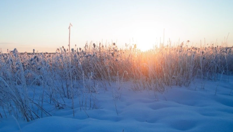Церковный праздник 12 января 2024 года: что строго нельзя делать в этот день