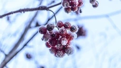 Церковный праздник 21 февраля 2024 года: что строго нельзя делать в этот день