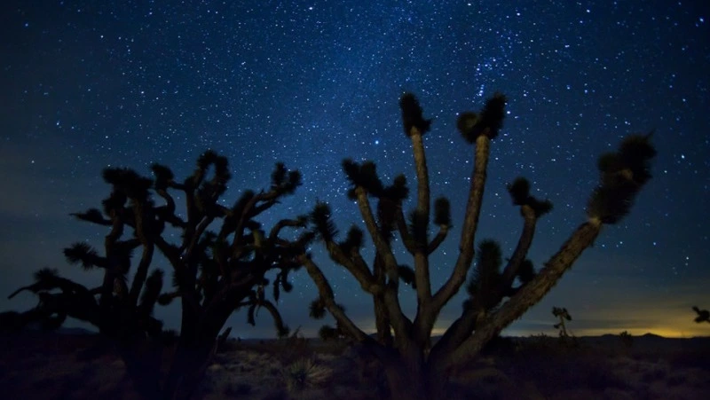 Гороскоп на 25 ноября: важная информация от астрологов