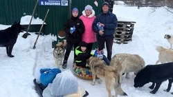 Очередная помощь приюту «Право животных на жизнь»