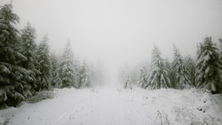 Прогноз погоды на Сахалине и Курилах 18 января: слабый снег и плюсовые температуры