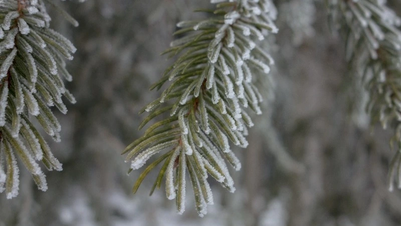 Народные приметы на 15 января 2024 года: что строго нельзя делать в этот день