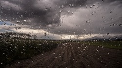 Дожди и холод: прогноз погоды в Сахалинской области на предстоящую неделю 