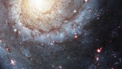 Финансовый гороскоп на неделю с 19 по 25 февраля 2024: что ждет каждый знак зодиака 