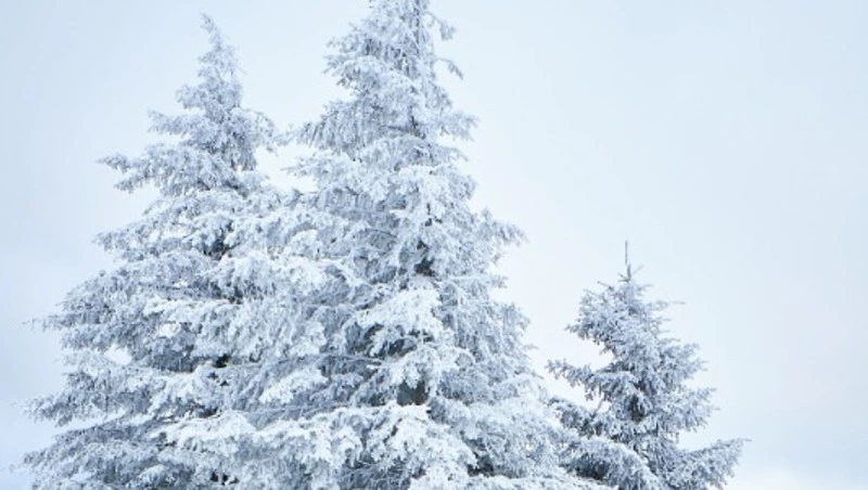 Сильный мороз и гололед: прогноз погоды в Сахалинской области на 12 декабря