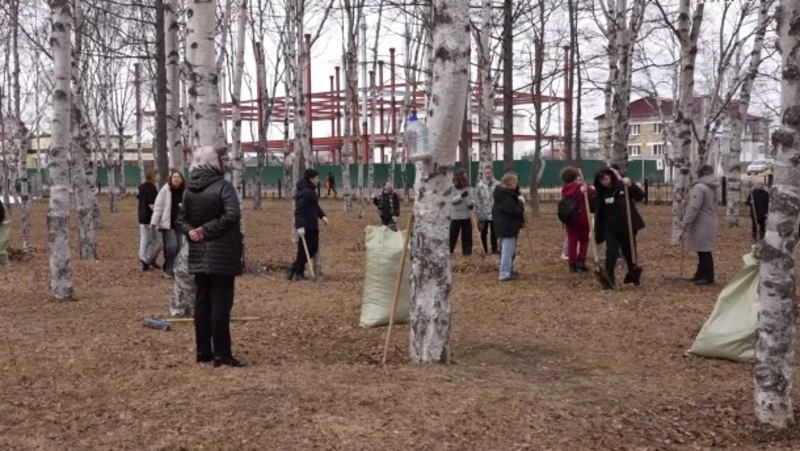 Убрались в парке