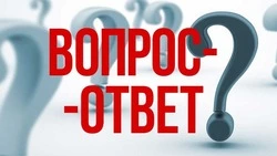 «Что нам стоит дом построить…»
