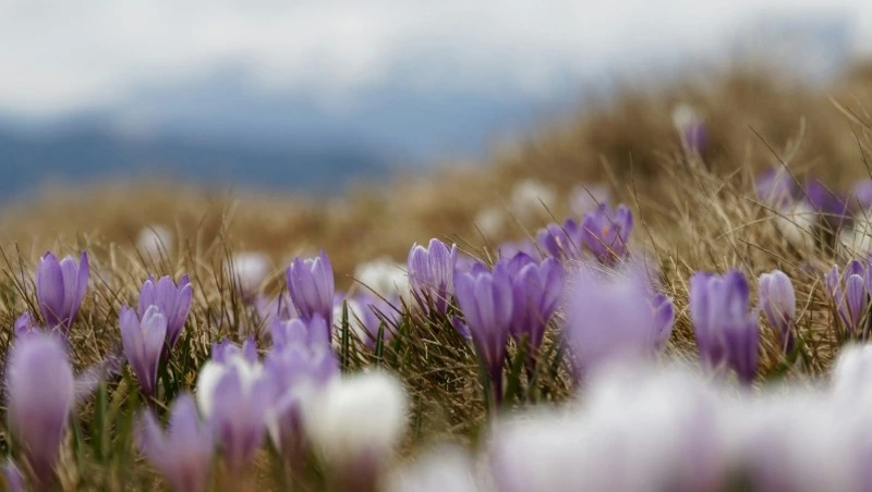 Народные приметы на 3 апреля 2024 года: что строго нельзя делать в этот день 