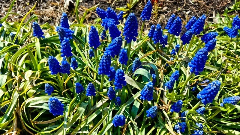 Народные приметы 12 мая 2024 года: что строго нельзя делать в этот день