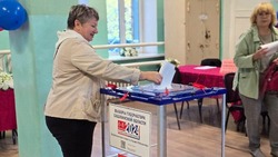 Политолог: первый день голосования в Сахалинской области прошел без происшествий