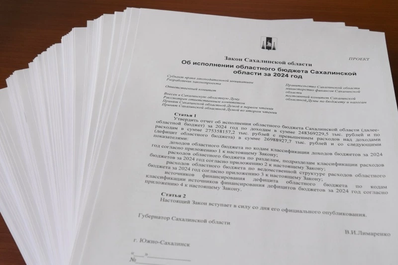 Сахалинское правительство направило в региональную Думу законопроект об исполнении бюджета за 2024 г