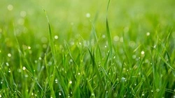 Народные приметы 19 мая 2024 года: что строго нельзя делать в этот день