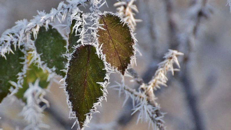 Народные приметы 18 марта 2024 года: что строго нельзя делать в этот день
