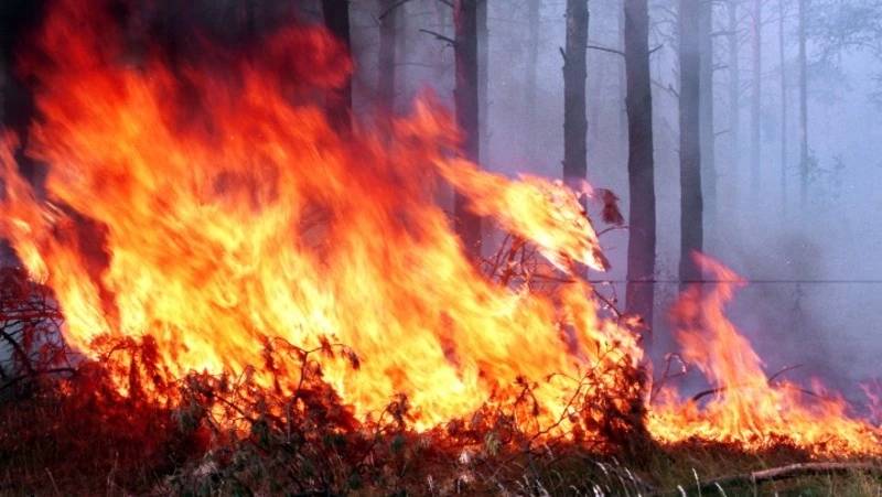 И осенью горят леса