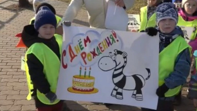«Зебра» призывает:  будьте осторожны!