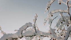 Церковный праздник 13 февраля 2024 года: что строго нельзя делать в этот день 