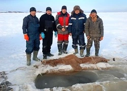 Зимняя путина началась