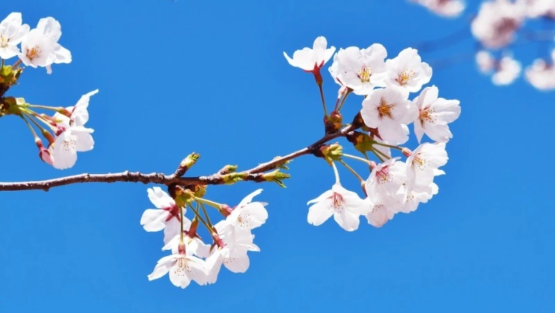 Народные приметы на 21 мая 2024 года: что строго нельзя делать в этот день  