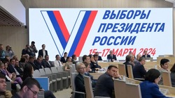 Решение Владимира Путина идти на выборы поддерживается повсеместно