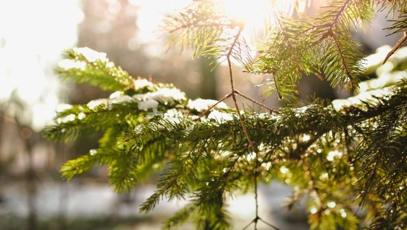 Церковный праздник 15 декабря 2023 года: что строго нельзя делать в этот день