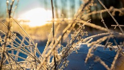 Потепление и снег ожидаются в Сахалинской области на предстоящей неделе   