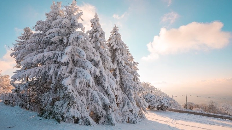 Народные приметы на 14 января 2024 года: что строго нельзя делать в этот день